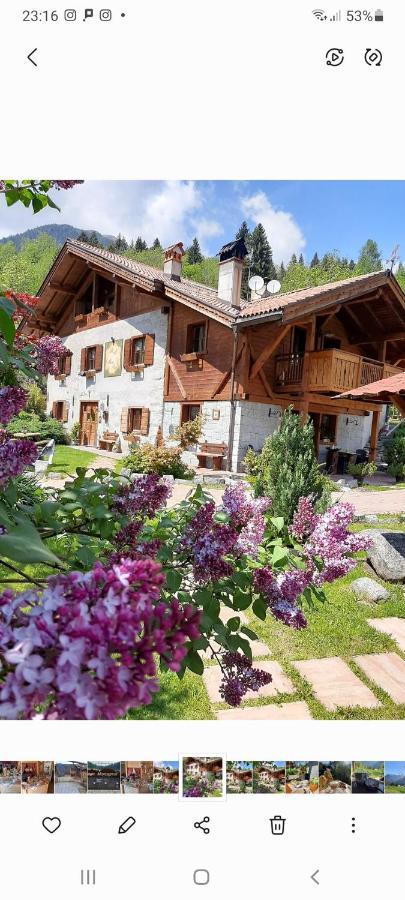 Maso Pin Bed & Breakfast Madonna Eksteriør bilde