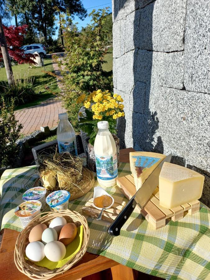Maso Pin Bed & Breakfast Madonna Eksteriør bilde