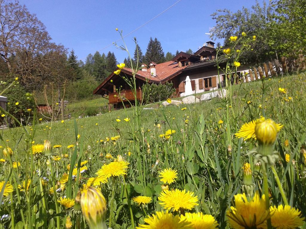 Maso Pin Bed & Breakfast Madonna Eksteriør bilde