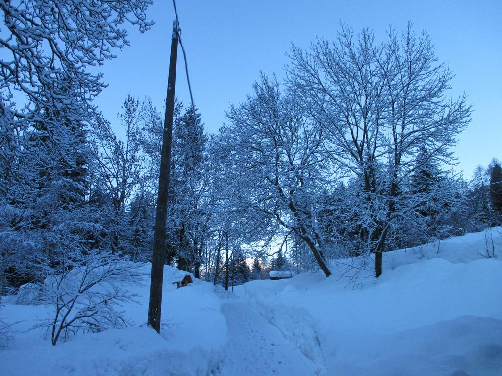 Maso Pin Bed & Breakfast Madonna Eksteriør bilde